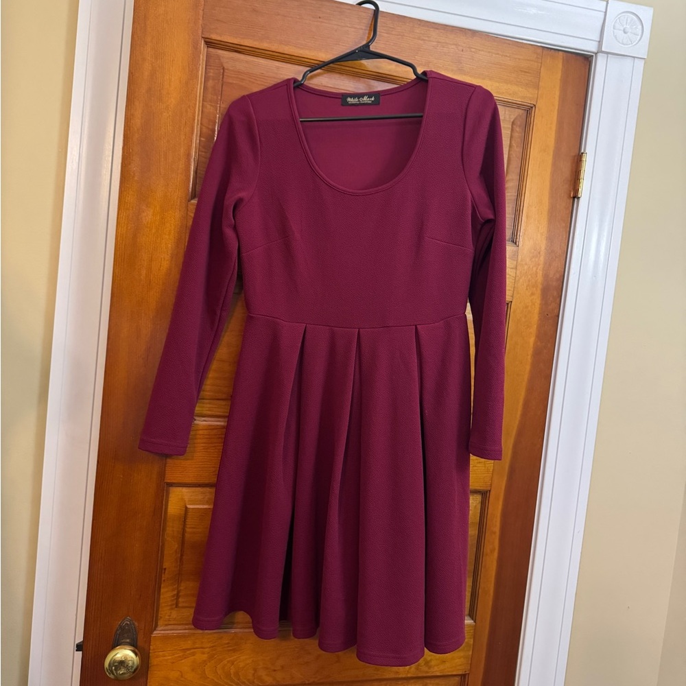 Winter Long Sleeve skater Dress